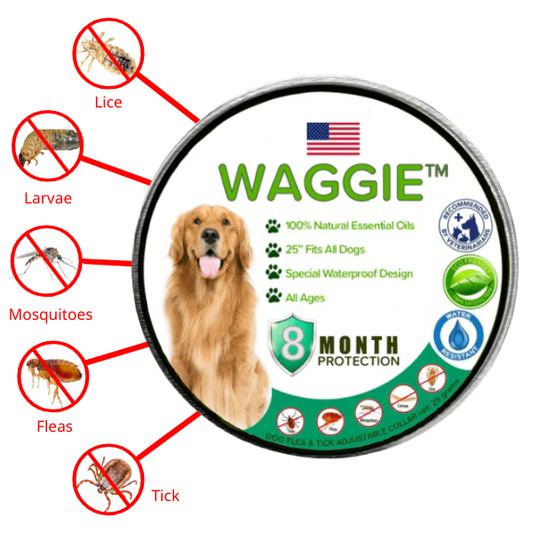 Natural Anti Flea & Tick Collar (8month+ protection)