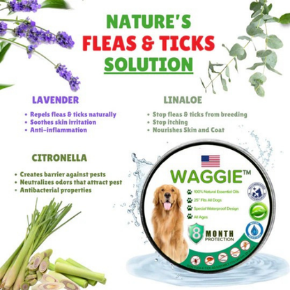 Natural Anti Flea & Tick Collar (8month+ protection)